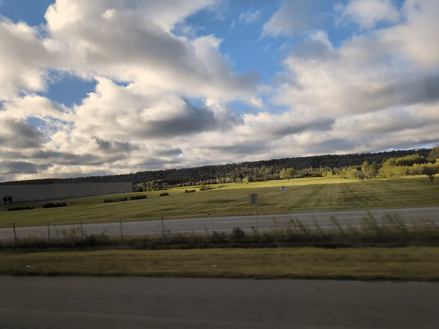 Animated Buffalo trip photo