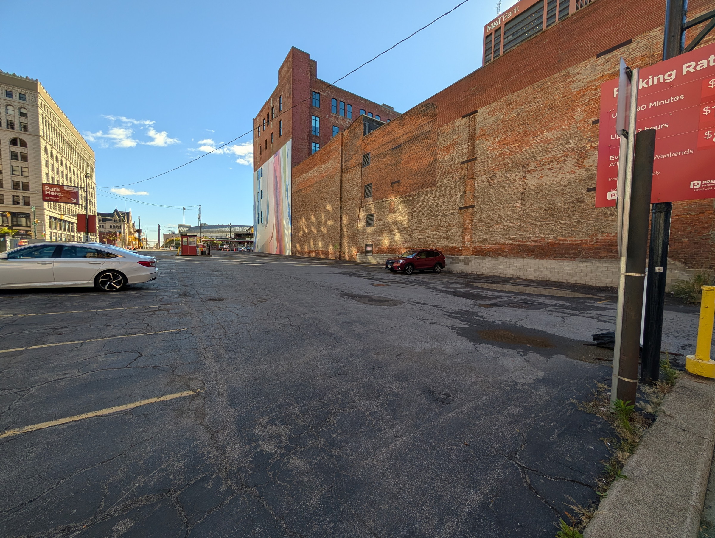 Buffalo trip photo